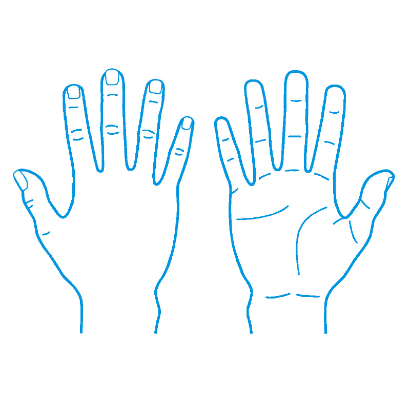 医療用人体図 右手【最短即日のシャチハタ館】